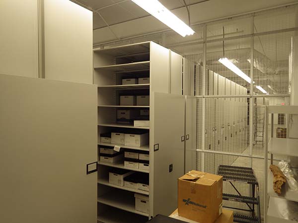 Archives Collections beyond