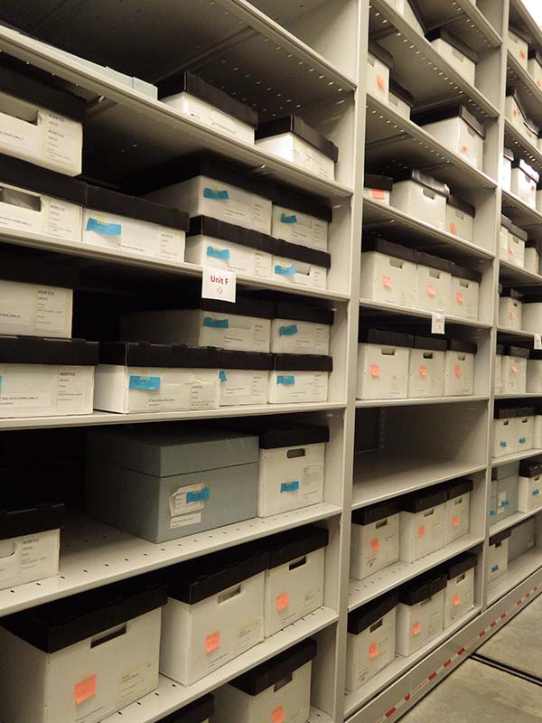 Collections Space to Grow