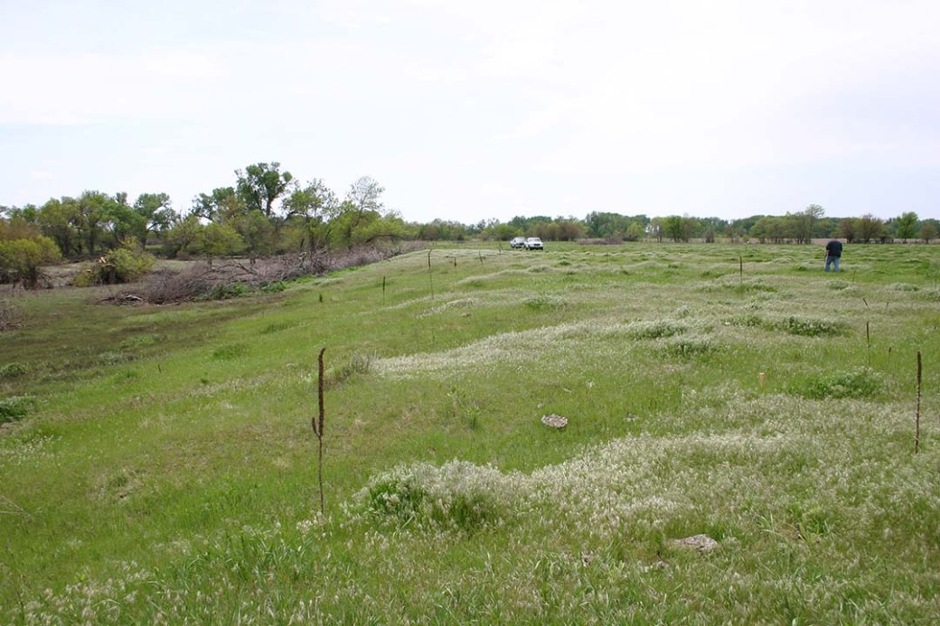 Nebraska Archeology Site 25SW49, Beaver Crossing